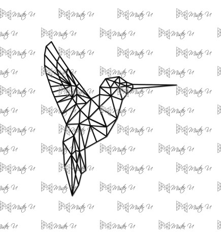 Hummingbird - model nr 1