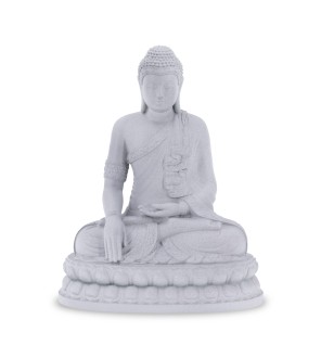 Tibetan Buddha