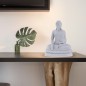 Tibetan Buddha