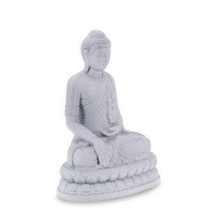 Tibetan Buddha