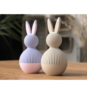 Boîte Japonaise en Forme de Lapin