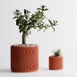 Rippled - Planter
