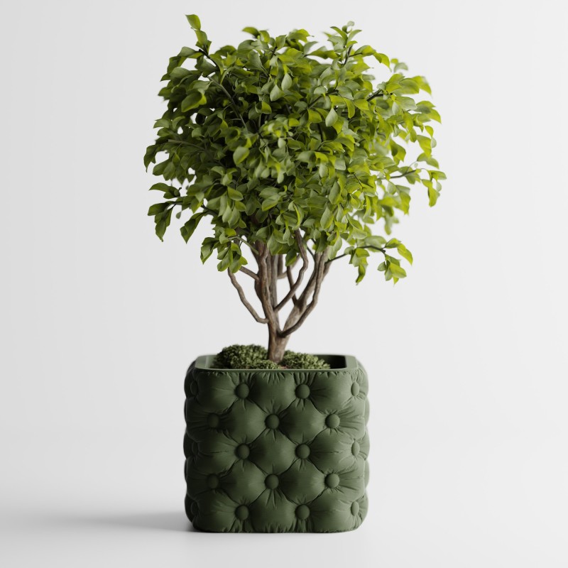 Chesterra - Cache-Pot