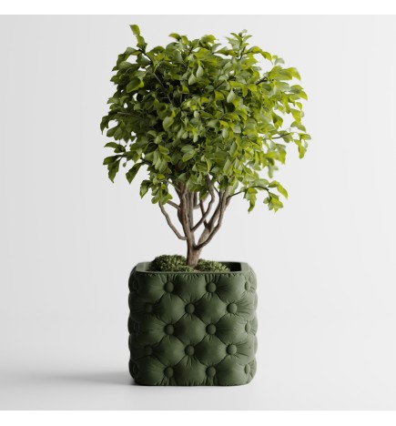 Chesterra - Cache-Pot