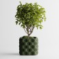 Chesterra - Planter