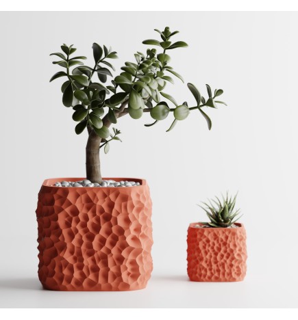 TerraForma - Cache-Pot